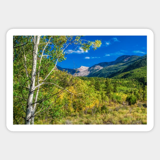 Looking Back On Independence Pass Sticker by nikongreg